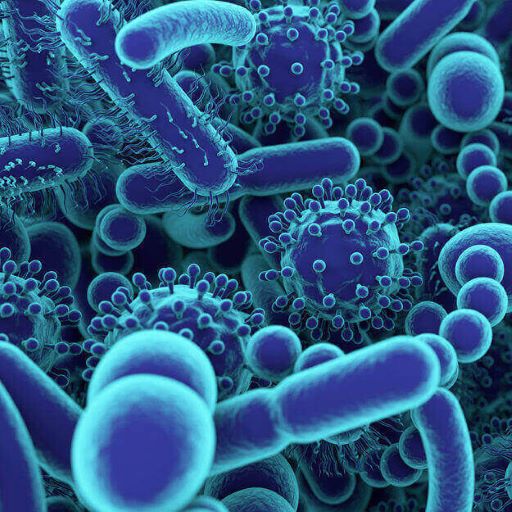 viruses-bacteria-fungi-Square  